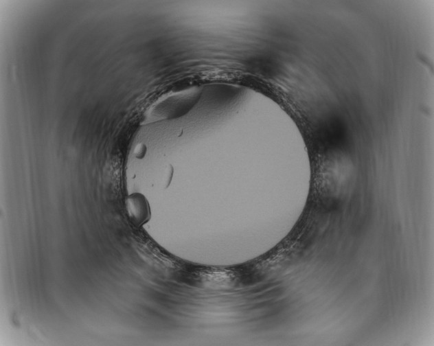 X0000096660513200803041203