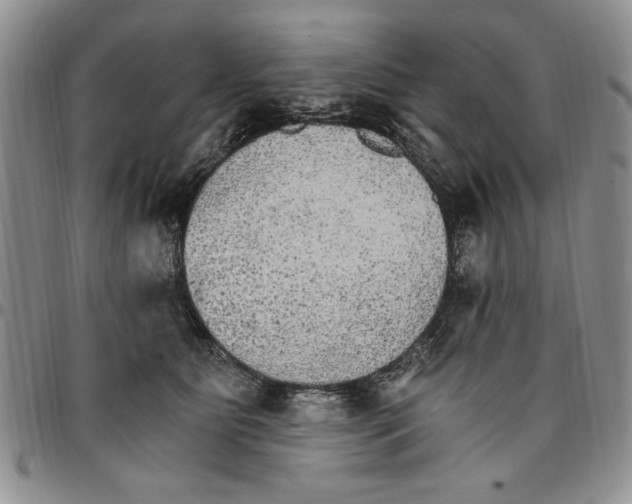 X0000096660515200803041203