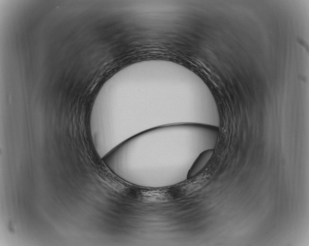 X0000096660516200803041203