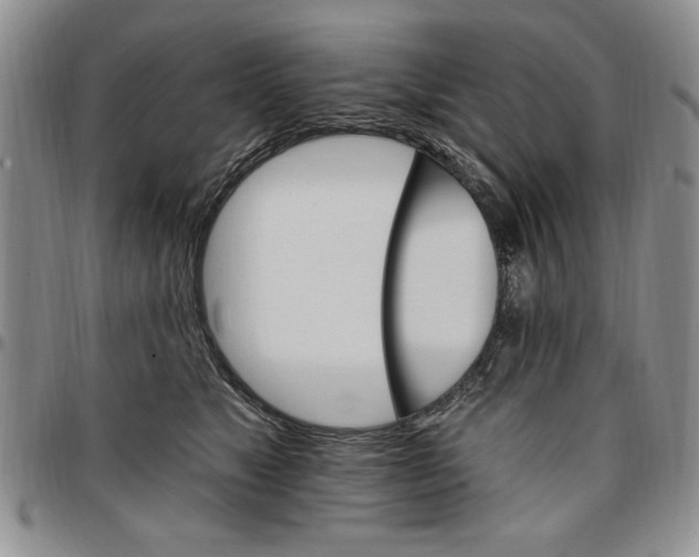 X0000096660517200803041203