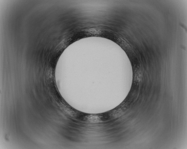 X0000096660518200803041203