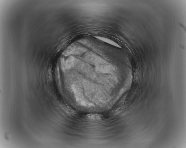 X0000096660520200803041203