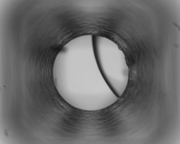 X0000096660521200803041203