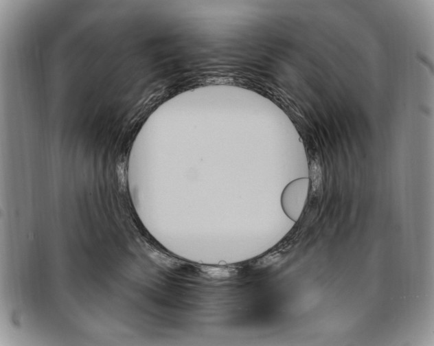 X0000096660522200803041203