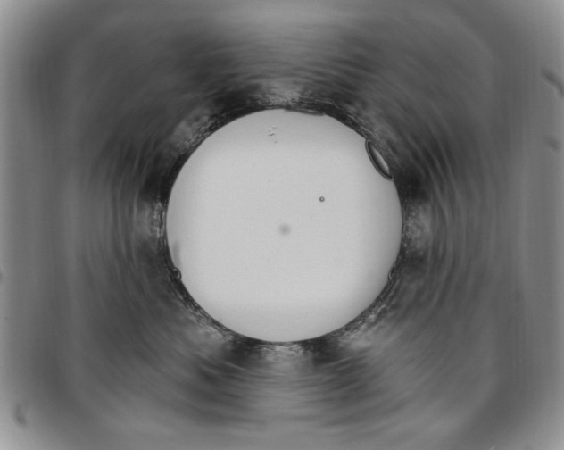 X0000096660525200803041203