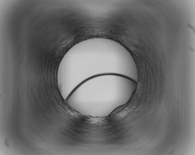 X0000096660528200803041203