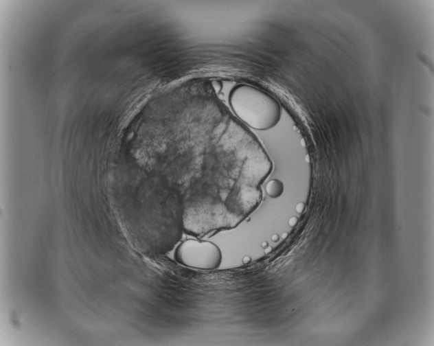 X0000096660529200803041202