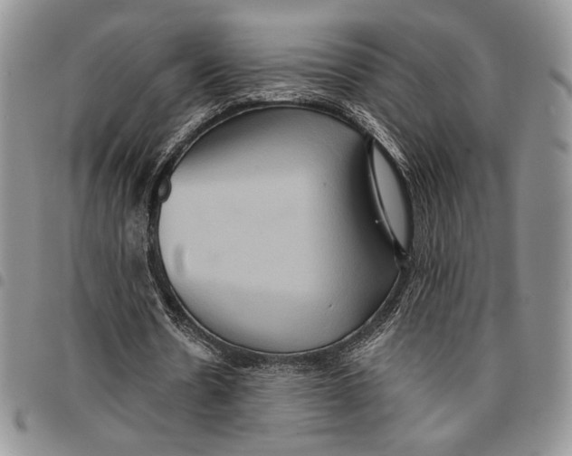 X0000096660530200803041202