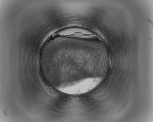 X0000096660531200803041202