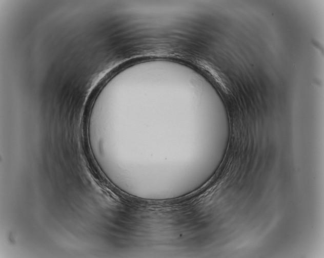 X0000096660532200803041202