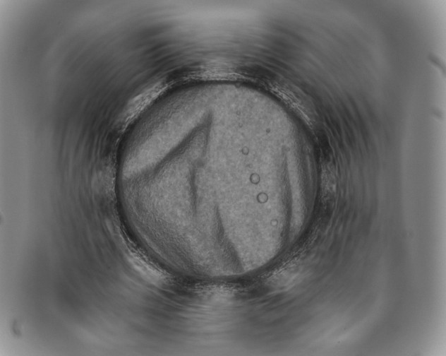 X0000096660533200803041203