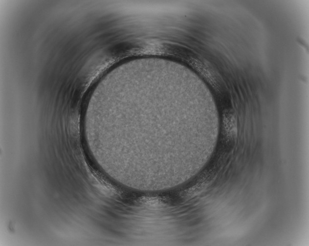 X0000096660534200803041203