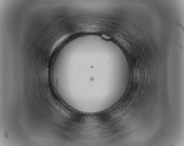 X0000096660535200803041203