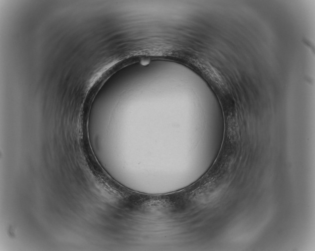 X0000096660536200803041203