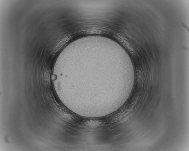 X0000096660537200803041203