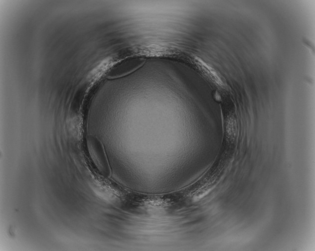 X0000096660540200803041203