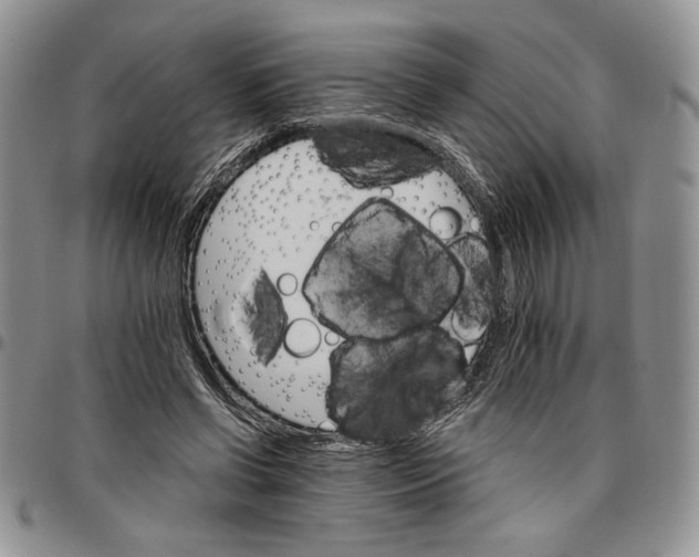 X0000096660542200803041203