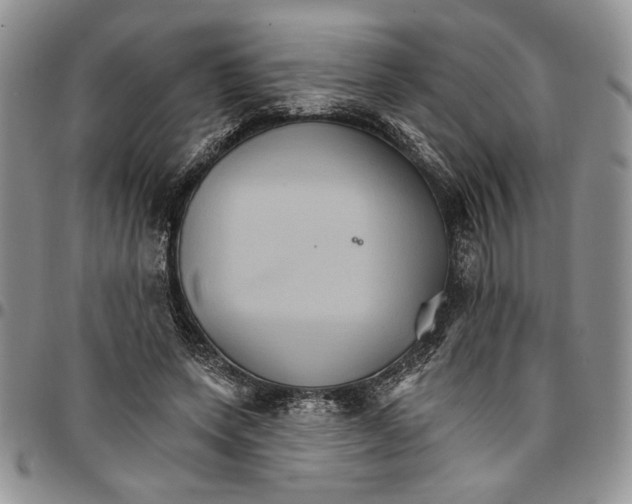 X0000096660543200803041203