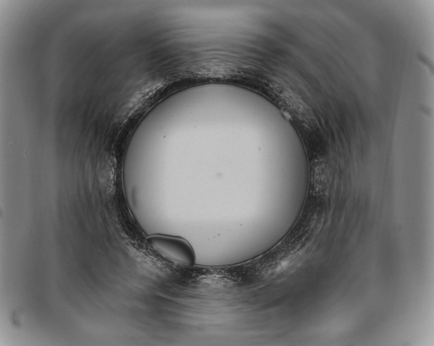 X0000096660544200803041203