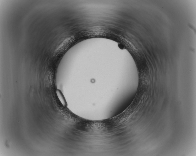 X0000096660546200803041203