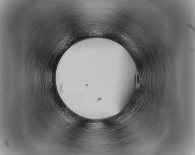 X0000096660548200803041203