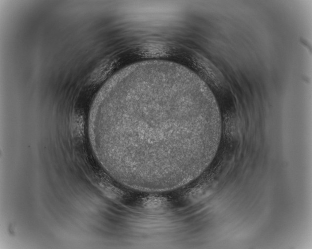 X0000096660549200803041203