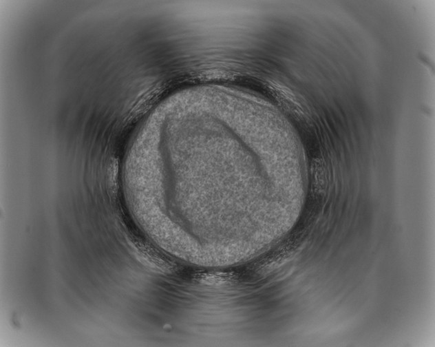 X0000096660550200803041203