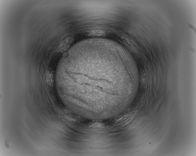 X0000096660551200803041203