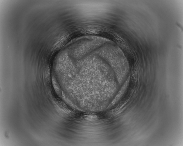 X0000096660552200803041203