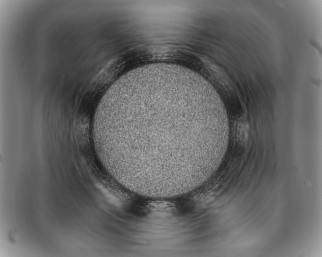 X0000096660557200803041203