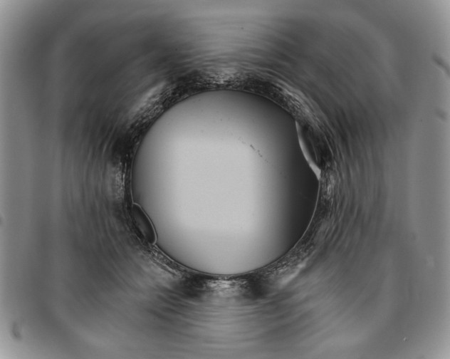 X0000096660558200803041203