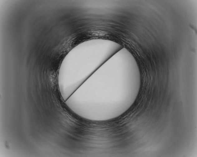 X0000096660559200803041203