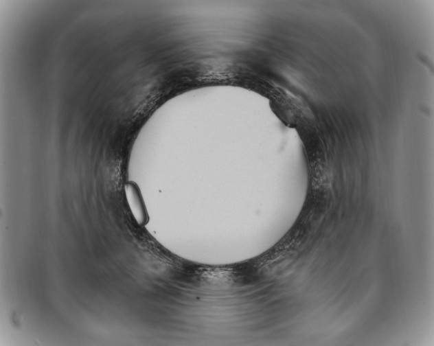 X0000096660560200803041203