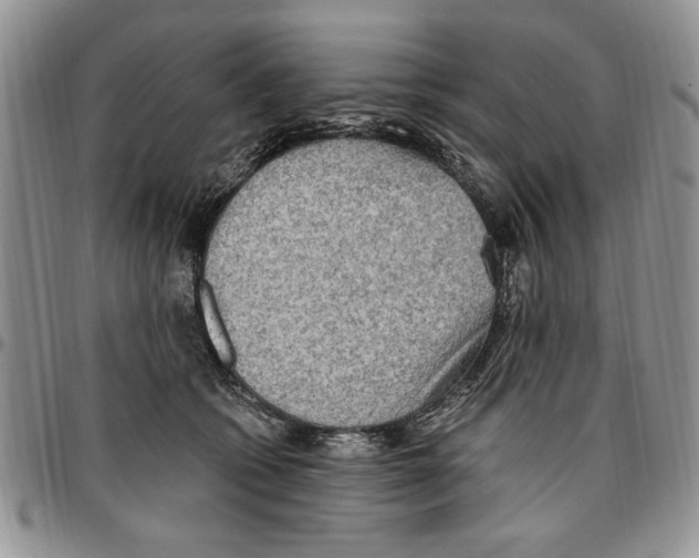 X0000096660562200803041203