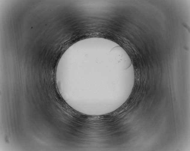 X0000096660563200803041203