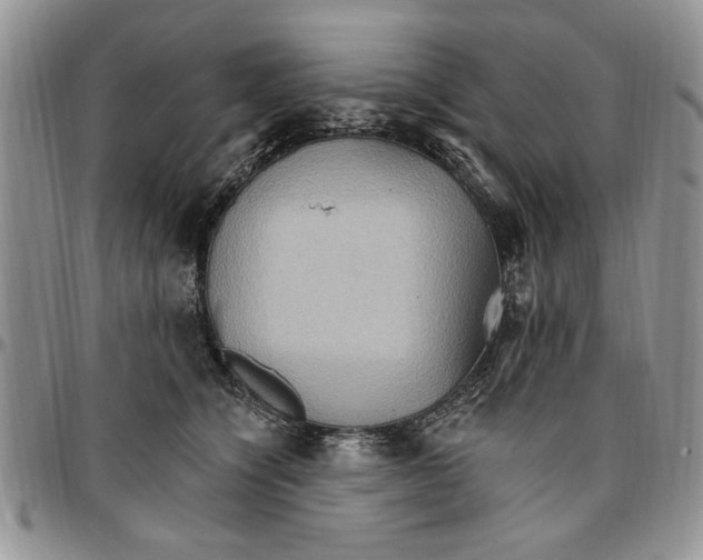 X0000096660564200803041203