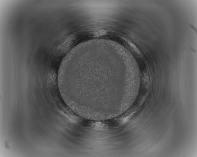 X0000096660565200803041203