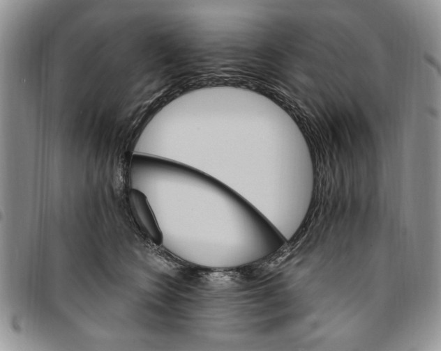 X0000096660566200803041203