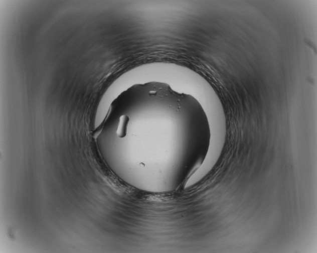 X0000096660568200803041203