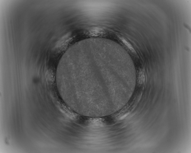 X0000096660569200803041203