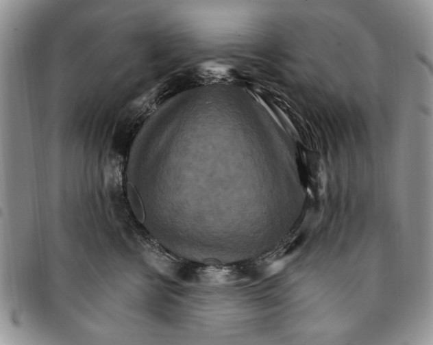 X0000096660570200803041203