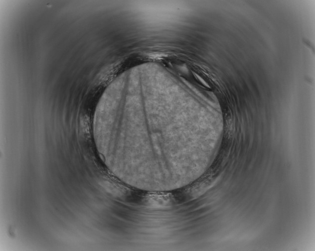 X0000096660571200803041203