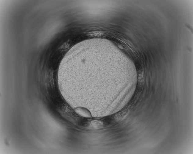 X0000096660572200803041203