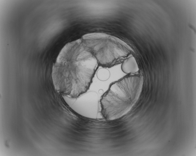 X0000096660573200803041203