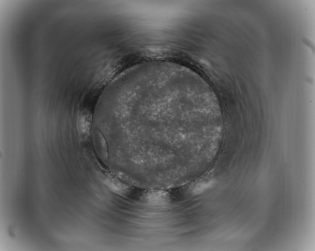 X0000096660576200803041203