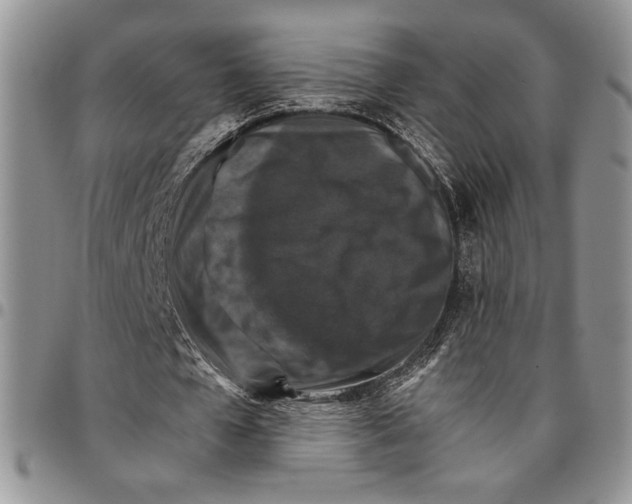 X0000096660577200803041202