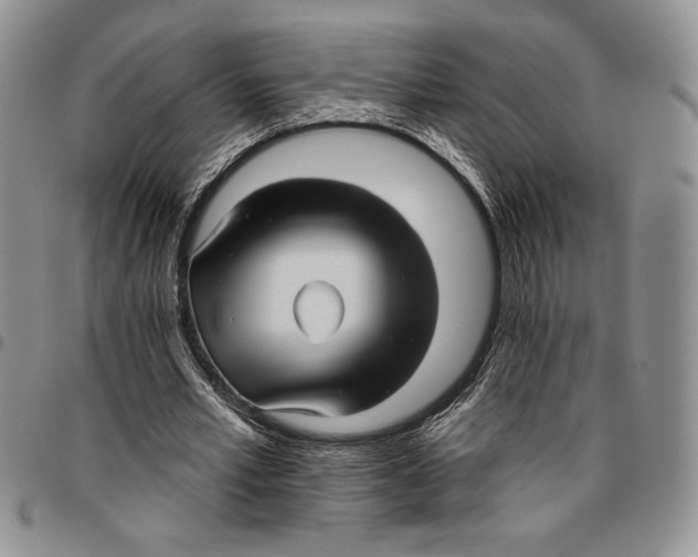 X0000096660581200803041202