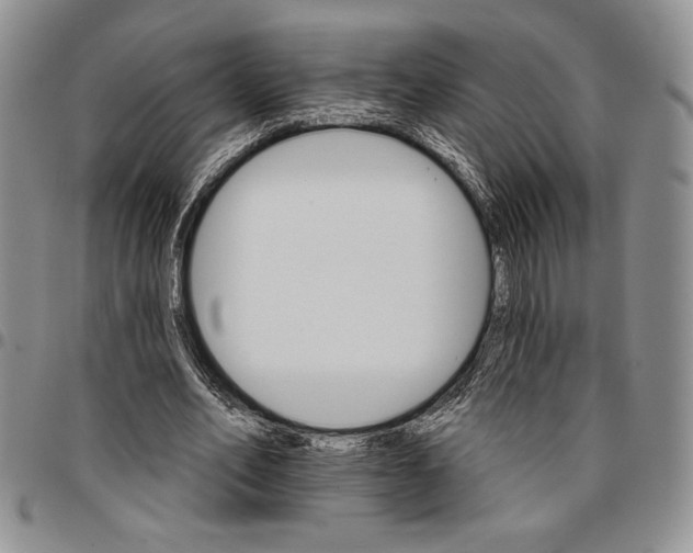 X0000096660582200803041202