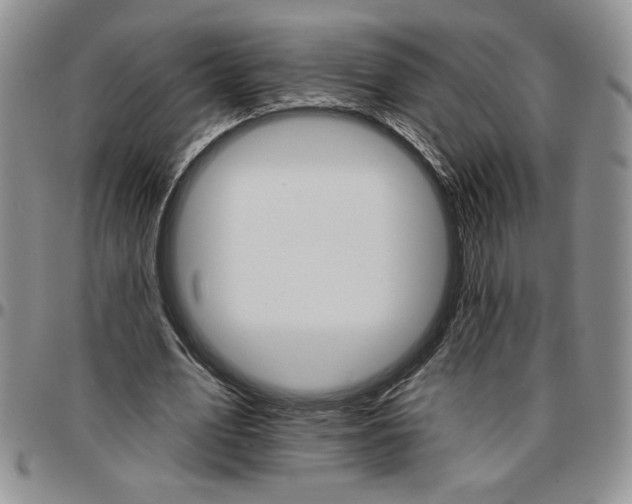 X0000096660583200803041202