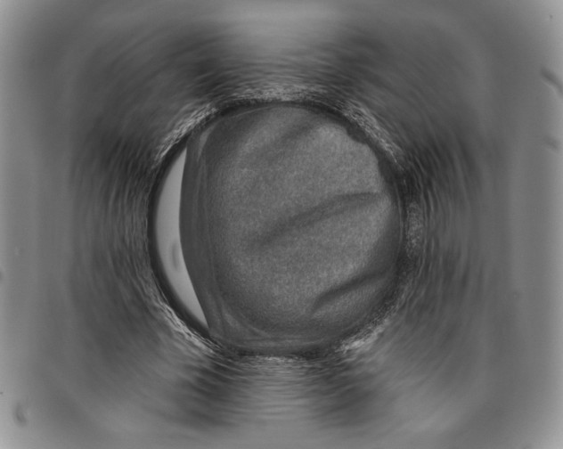 X0000096660585200803041202